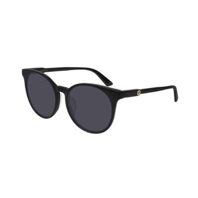 Gucci GG0488SA Sunglasses | Designer Glasses