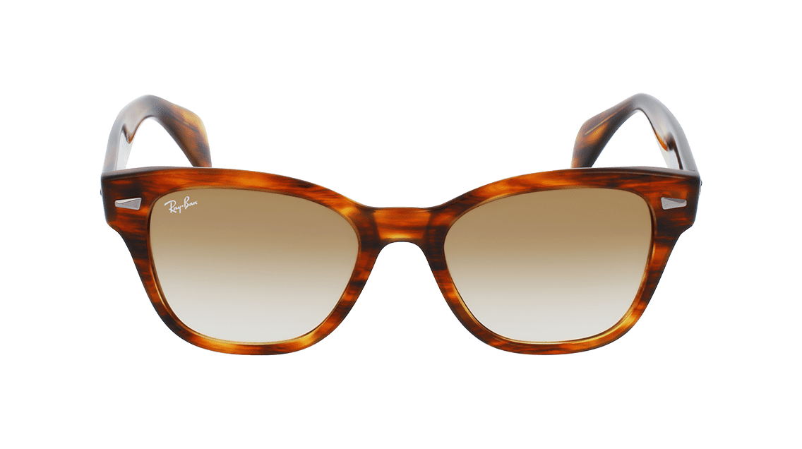 Ray Ban RB0880S Sunglasses | Designer Glasses