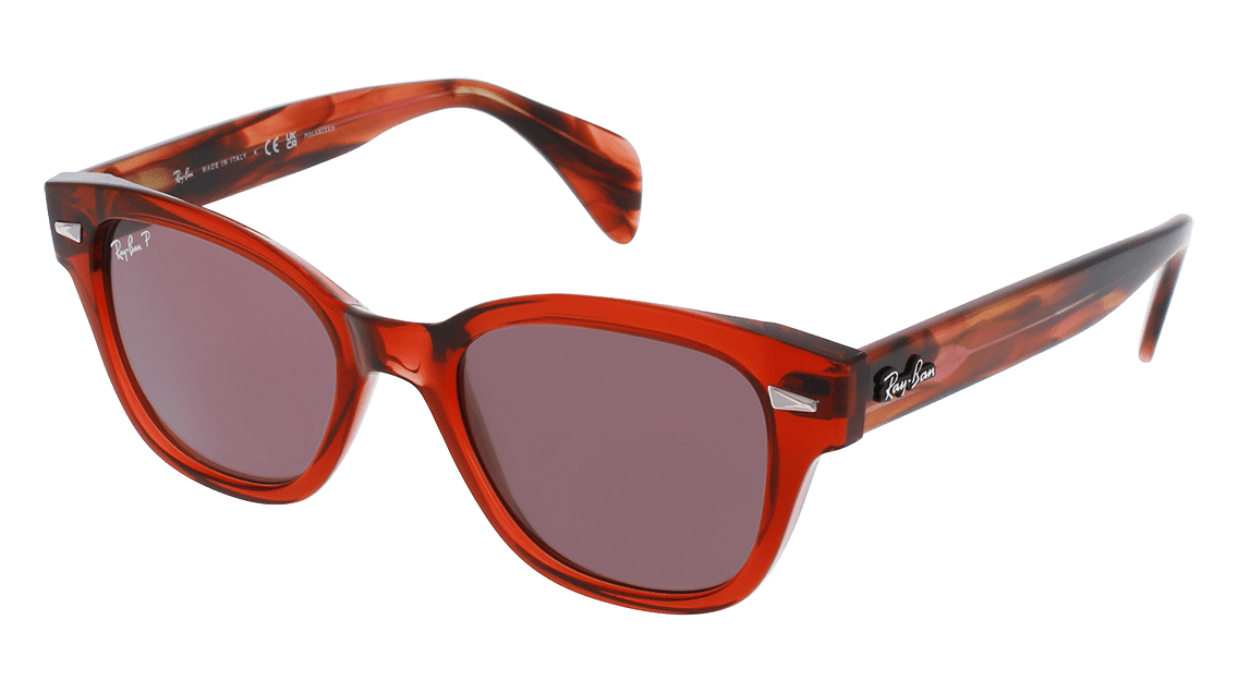 Ray Ban RB0880S Sunglasses | Designer Glasses