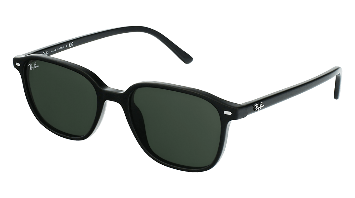 2193 rayban