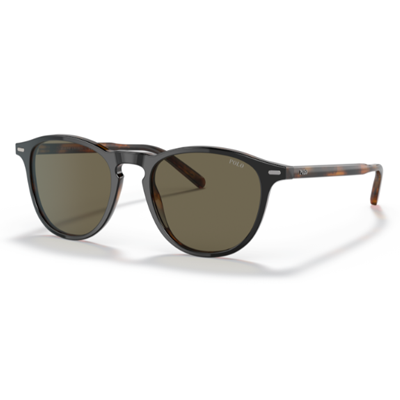 Polo PH4181 Sunglasses