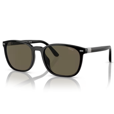Polo PH4208U Sunglasses