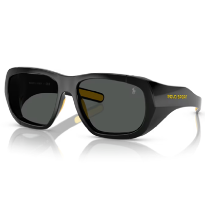 Polo PH4219U Sunglasses