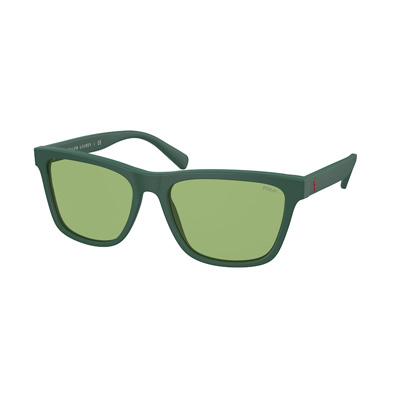 Polo PH 4167 PH4167 Sunglasses