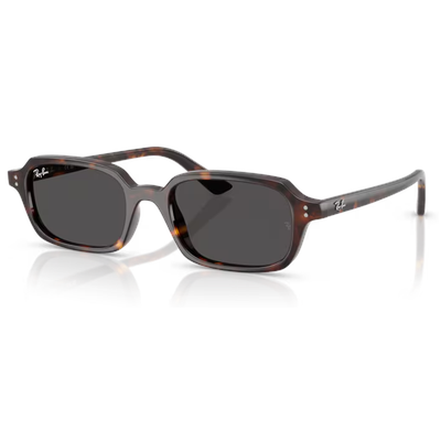 Ray-Ban RB4455 Zuri Sunglasses