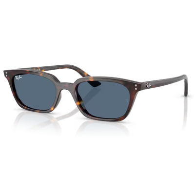 Ray-Ban RB4456 Zaya Sunglasses