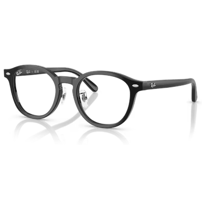 Ray-Ban RX5443D