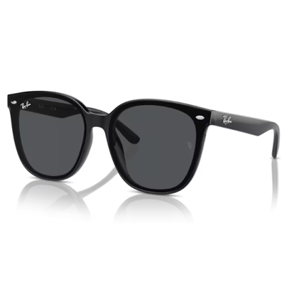 Ray ban orders 4223