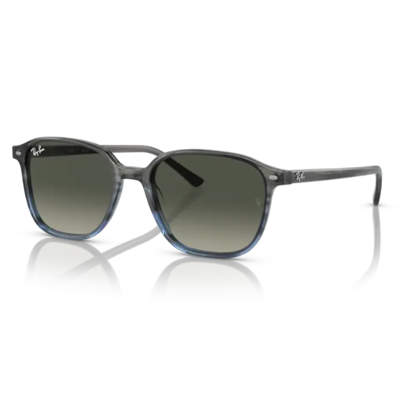 Rayban RB 2193 RB2193 Leonard Sunglasses