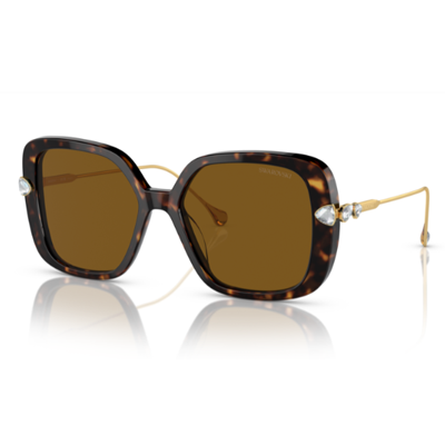 Swarovski SK6011 Sunglasses