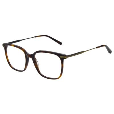 Ted Baker TB8295 Miles | Designer Glasses