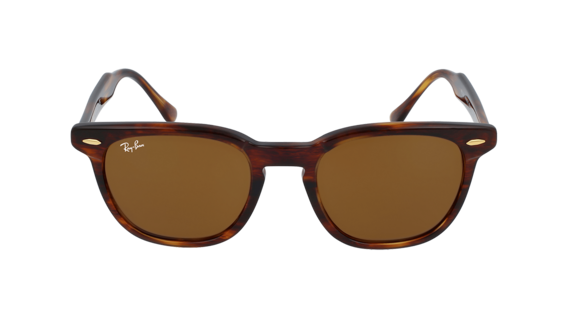 Ray Ban RB2298 Hawkeye Sunglasses | Designer Glasses